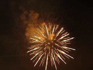 2009NxX̗čՂ̎ʐ^04