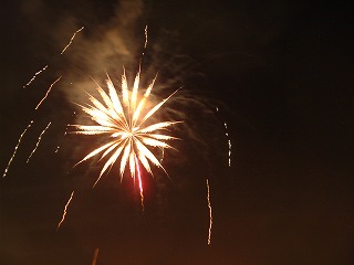2009NxX̗čՂ̎ʐ^09