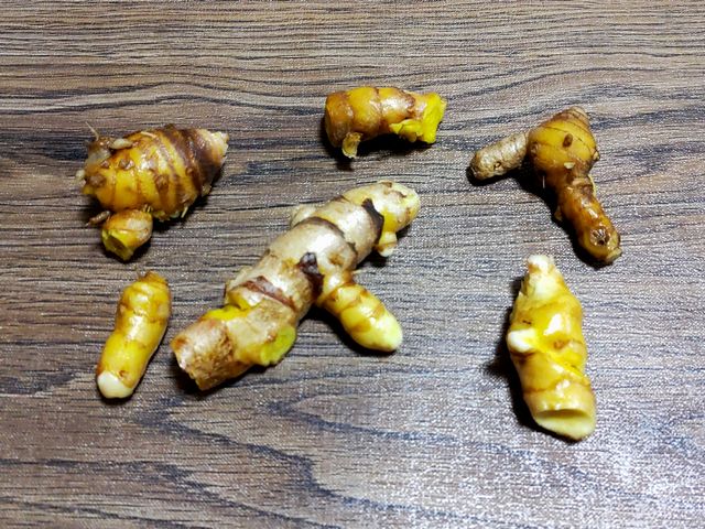 ウコンの実