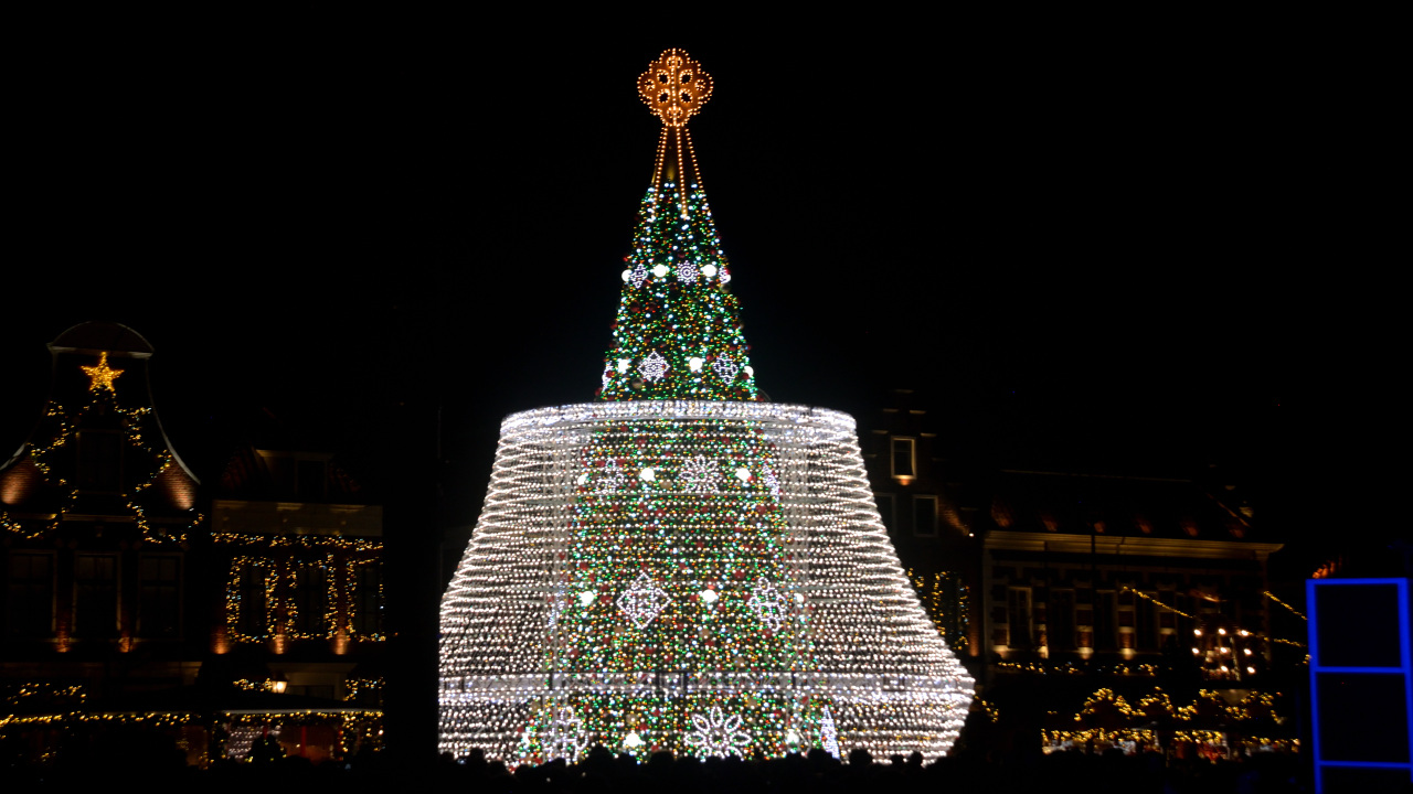 �n�E�X�e���{�X �O�����h�E�V�����f���A�c���[