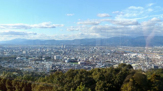 �v���Ďs ���Ǒ�ГW�]�䂩��p�m���}