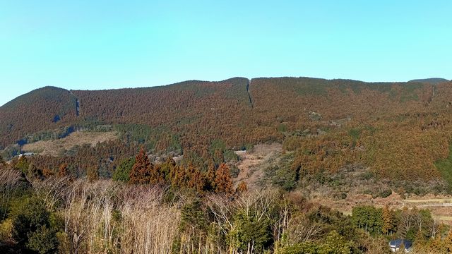 �����V�x���獑���R�܂ł̃p�m���}(�R�g���ɂ�)